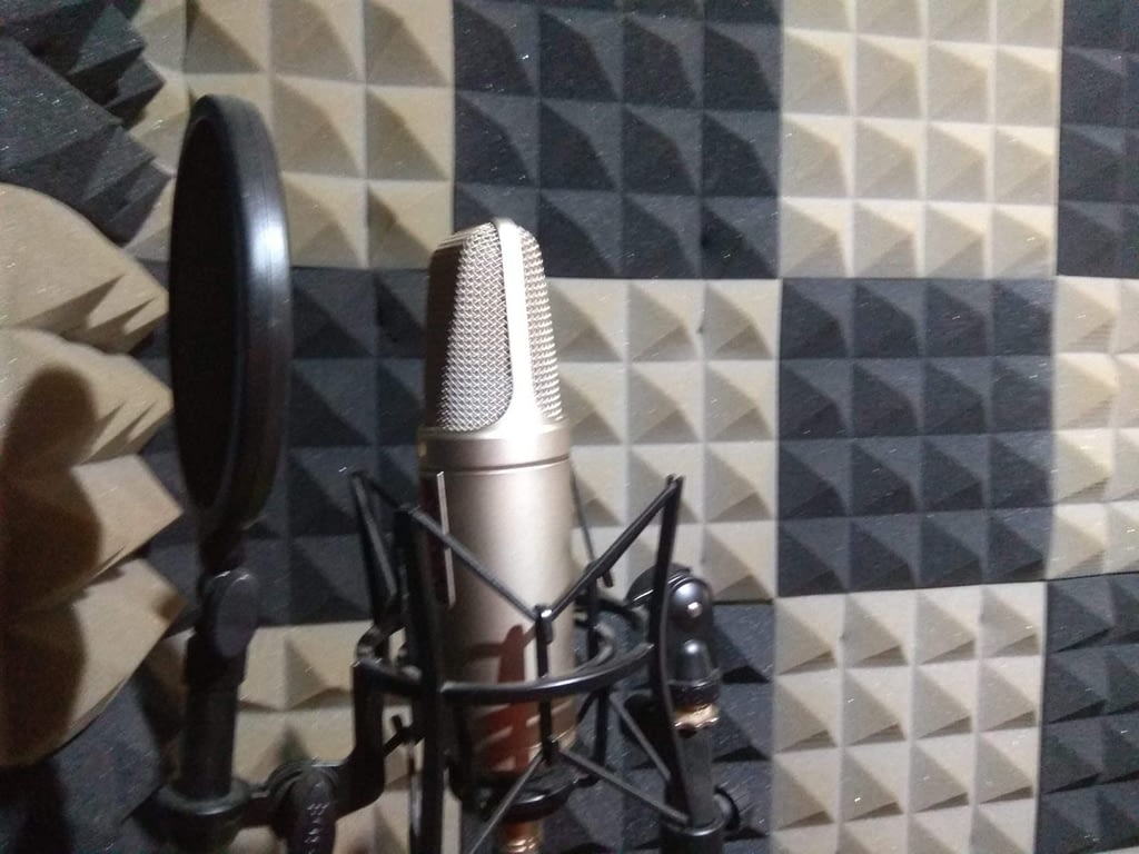Estudio Locutor